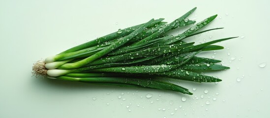 Aufkleber - Fresh green onions with water droplets on a light background showcasing their vibrant color and freshness for culinary use.
