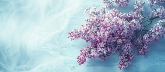 Poster - Lilac bouquet on a light blue distressed wooden background vintage floral theme perfect for invitations and spring decor backgrounds