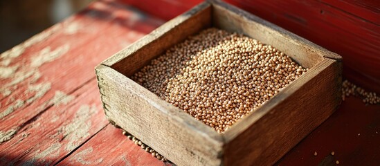 Poster - Buckwheat grains displayed in a rustic wooden box on a vibrant red wooden table background