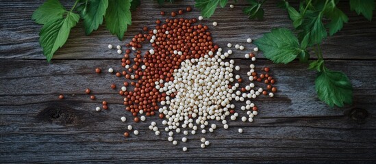 Poster - Quinoa seeds assortment red and white on wooden table with fresh green leaves for healthy food concepts and culinary uses