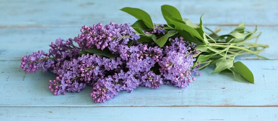 Poster - Lilac bouquet on light blue shabby wooden background vintage floral design with purple flowers and ample copy space for text.