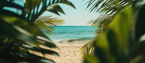 Aufkleber - Serene beach vista framed by lush palm leaves with clear ocean waves and sandy shore ideal for tranquil designs and text placement.