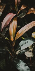 Wall Mural - Close up of green plant leaves with gentle patterns and zen papaya elements in natural light