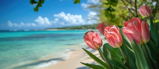 Poster - Close-up of delicate pink tulips in front of a serene beach landscape with turquoise water and clear blue skies.