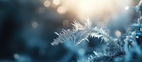 Poster - Intricate ice formations glistening in the sunlight with a soft blue background creating a winter wonderland effect
