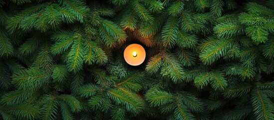 Poster - Candle glowing amidst lush evergreen branches creating a warm festive atmosphere with space for holiday message or text insertion