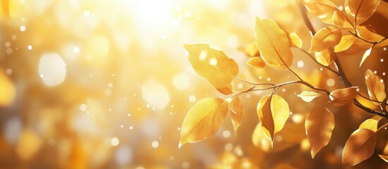 Leinwandbilder - Golden autumn leaves illuminated by sunlight creating a warm and vibrant atmosphere with a dreamy bokeh effect in the background.