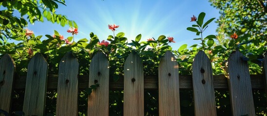 Poster - Vibrant flowers and lush greenery viewed through a wooden fence under a bright blue sky with sun rays shining through.