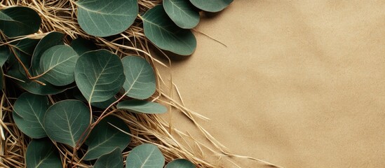 Poster - Close up of lush green plant leaves nestled among dry grass creating a natural backdrop with ample space for text or design elements