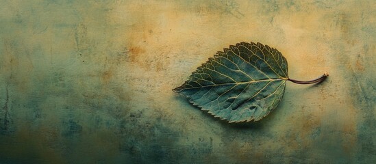 Poster - Close up of a textured green leaf on a blurred abstract background highlighting nature's intricate details and organic beauty.