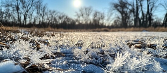 Poster - Closeup of intricate frozen ice crystals on the ground glistening under sunlight after a winter storm in a natural setting