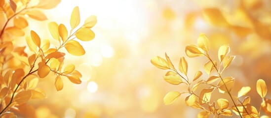 Poster - Golden Leaves Illuminated by Warm Sunlight in a Soft, Dreamy Atmosphere