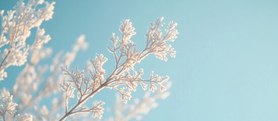 Poster - Frosted tree branches against a clear blue sky showcasing winter's beauty and serene nature with delicate ice crystals glistening in sunlight