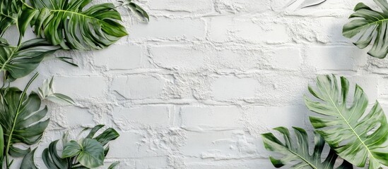 Poster - Lush monstera plant leaves framed against a textured white brick wall creating a fresh and inviting atmosphere with ample copy space.