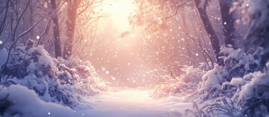 Poster - Winter Wonderland with Snow-Covered Branches and Sunlight Filtering Through a Magical Forest Scene