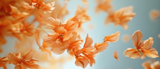 Poster - Closeup of delicate orange flowers swaying in the breeze against a soft background with ample space for overlaying text