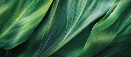 Poster - Macro view of lush green leaf textures showcasing intricate patterns and natural beauty for backgrounds and design projects.
