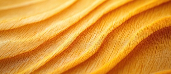 Poster - Macro shot capturing the intricate details of a smooth, clean yellow wood texture with wavy patterns and rich color depth.