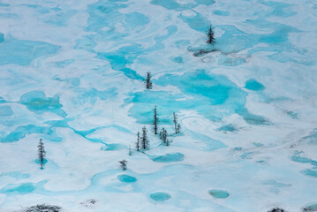 Fototapete - Aerial view of the glacial landscape in the tundra, with sparse trees and turquoise puddles from melted snow.