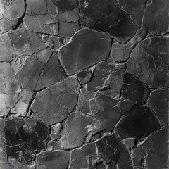 Poster - black and white image of a cracked concrete wall with a textured surface and zen aesthetic