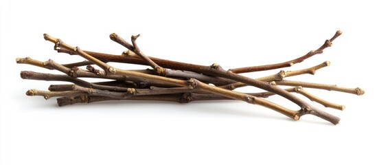 Poster - Dried twigs arranged artfully on a white background showcasing natural textures and earthy tones for crafting or decoration ideas.