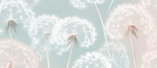 Poster - Dandelions seamless background pattern with soft hues and delicate details ideal for nature-themed designs and gentle textures.