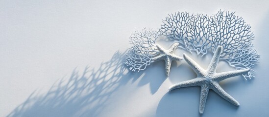 Aufkleber - Creative starfish and sea fan casting intricate shadows on a light background with ample space for adding custom text or graphics