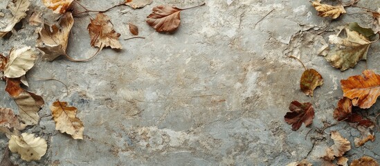 Poster - Dry autumn leaves scattered on a textured cement surface creating a rustic natural background