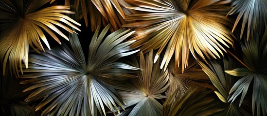 Poster - Abstract composition of dry palm leaves with dynamic lighting and shadows creating an intriguing and artistic background design.