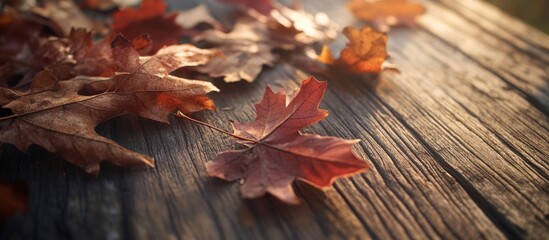Poster - Autumnal scene featuring dry maple and oak leaves scattered on a rustic wooden table illuminated by soft natural light