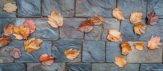 Poster - Autumn leaves scattered on gray stone walkway creating a natural decorative pattern in seasonal transition outdoors