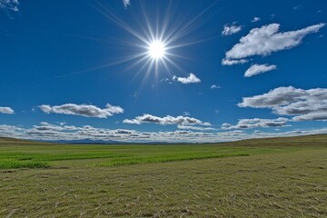 Wall Mural - sunny field, bright sky, rolling hills, summer day, landscape