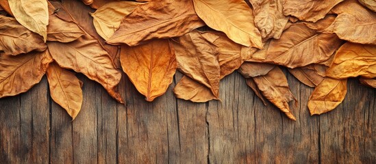 Poster - dried tobacco leaves arranged on rustic wooden surface creating a textured natural background for cr
