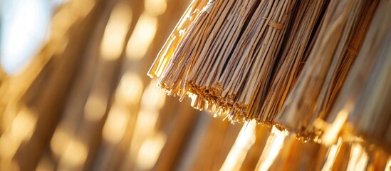 Poster - Detailed close-up of a dry reed roof showcasing texture and natural materials under warm sunlight.