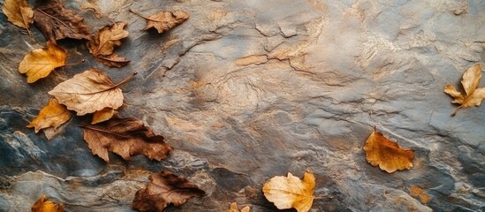 Poster - Autumn Leaves on Stone Surface Displaying Dried Textures in Natural Seasonal Landscape