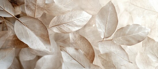 Poster - Dry leaves arranged artistically on a softly blurred background showcasing a blend of light and dark tones.