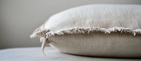 Poster - Worn and Torn Pillow Close-Up Showcasing Frayed Edges and Textured Fabric in Soft Natural Light