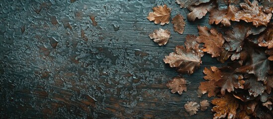 Poster - Dry leaves scattered on a wooden surface during the rainy season creating a natural textured backdrop for seasonal themes.