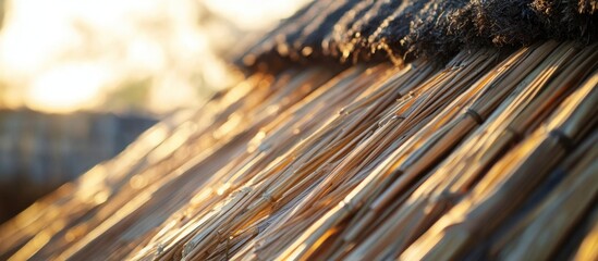 Poster - Detailed close-up of a traditional dry reed roof showcasing texture and natural materials illuminated by warm sunlight