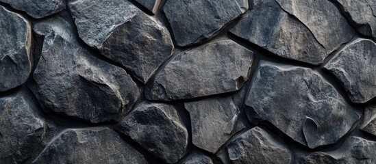 Poster - Textured dark stone surface with contrasting elements ideal for background use and text placement in design projects.