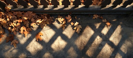 Poster - Fallen dry leaves casting shadows against a wooden fence on a sunlit ground in autumn ambiance