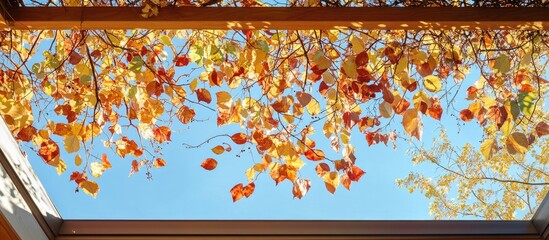 Poster - Autumn leaves covering a rooftop with a clear blue sky creating a vibrant seasonal atmosphere in the morning light