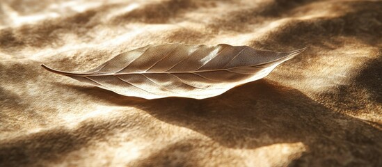Poster - Dried Leaf Casting a Shadow on Textured Surface in Warm Light
