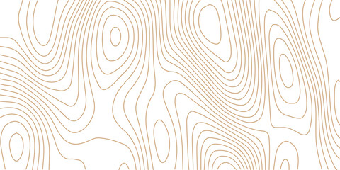 Poster - Topographic map background geographic line map with elevation assignments. Modern design with White golden background with topographic wavy pattern design. paper texture Imitation of a geographical 