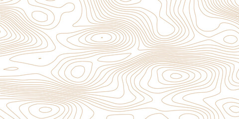 Fototapete - Topographic map background geographic line map with elevation assignments. Modern design with White golden background with topographic wavy pattern design. paper texture Imitation of a geographical 