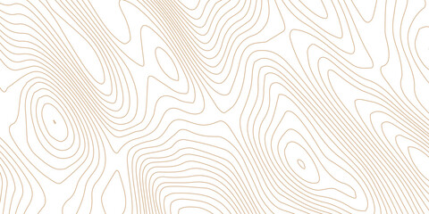 Fototapete - Topographic map background geographic line map with elevation assignments. Modern design with White golden background with topographic wavy pattern design. paper texture Imitation of a geographical 