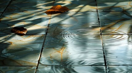 Poster - Rainwater rippling on tiled surface with fallen leaves and shadows in a serene outdoor setting