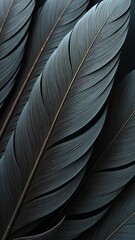 Poster - A close up of a feather with a black color. The feather is long and thin