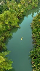 Wall Mural - Paddle through the lush, green waters of Chumphon in a kayak, in Thailand, where nature thrives and tranquility reigns. Enjoy the peaceful journey among palm trees and vibrant foliage.