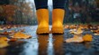© Hvkk - autumn concept yellow rubber boots in the rain autumn background selective focus